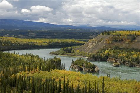 Why the Yukon River is so valuable | WWF Blog