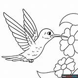 Hummingbird Coloring Page sketch template