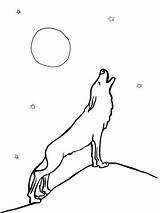 Coloriage  Loup Qui hurle à La Lune Coloriages Imprimer Gratuits sketch template