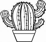 Cactus coloring Page  Free Printable Coloring Pages sketch template