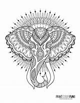 8 elephant Adult coloring Pages That Are Decorative & Detailed At  sketch template