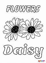 Pin On Daisy Coloring Pages sketch template