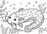 Catfish coloring page  ColouringPages sketch template