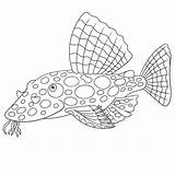Catfishing Clip Art Illustrations Royalty Free Vector Graphics & Clip  sketch template
