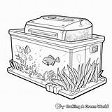 Aquarium Coloring Pages  Free & Printable sketch template