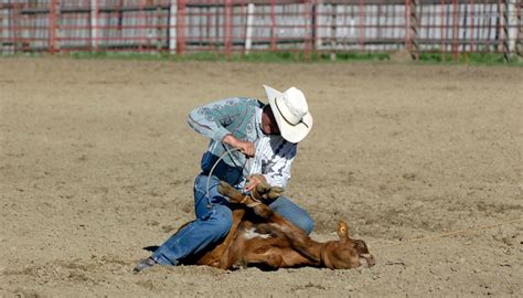 All About Calf Roping