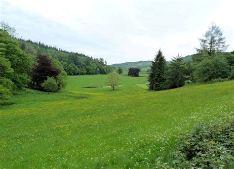 A walk in Grizedale Forest | Where2Walk