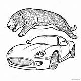 Luxury Jaguar Car Coloring Page 40734 32204 sketch template