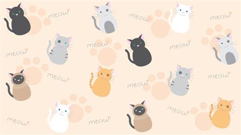 many different colored cats on a pink background with the word meow ...