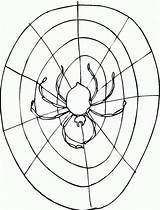 Spider With Web Coloring Page  Free Printable Pages sketch template
