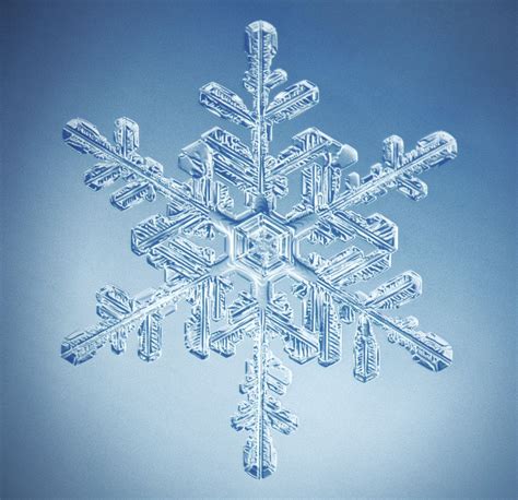 Snowflake Shapes Are Not So Unique After All? | Snowflake pictures, Snowflake images, Snowflakes