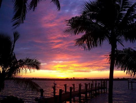Siesta Key sunset. | Florida | Pinterest