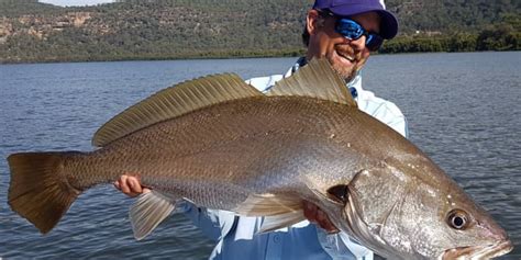 Hawkesbury River Fishing Spots: 5 Best Places To Wet A Line