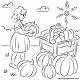 Harvest Printable Coloring Pages sketch template