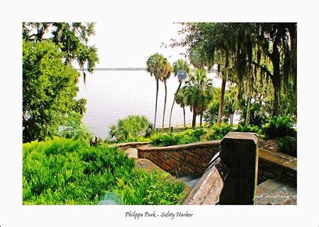 100 Parks of Pinellas County FL - Philippe Park in Safety Harbor Florida