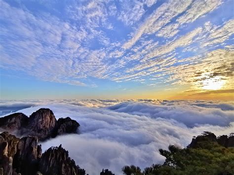 大美黄山云海仙境 - 花粉随手拍风光 花粉俱乐部