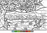 Color By Number Coloring Pages  100 Printable sketch template