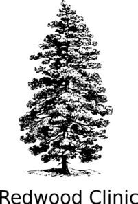 pine tree ink drawing - Clip Art Library