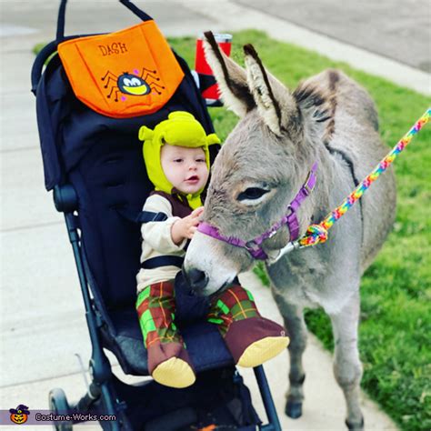 Shrek and Donkey Costume