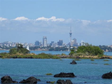 Rangitoto Island Track and Summit Walk is a free walk in Auckland ...