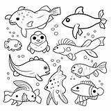 Aquarium Fish Coloring Pages Free Best Of Marine Animals Page  sketch template