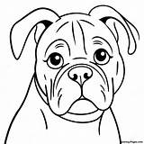 Playful Boxer Dog Coloring Page  Pagescom sketch template
