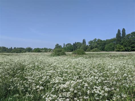 South Norwood Country Park May 2020 | Inside Croydon