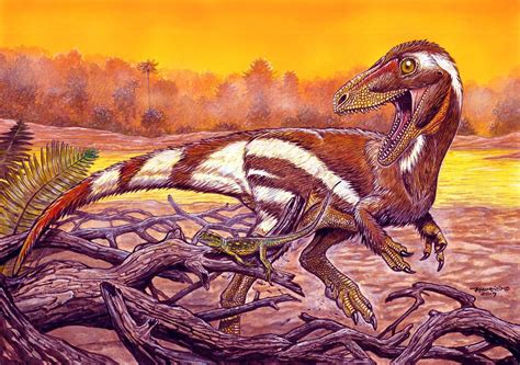 New Feathered Carnivorous Dinosaur Found in Brazil | Paleontology | Sci ...