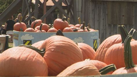 Harvest Fest returns to Stokoe Farms this weekend