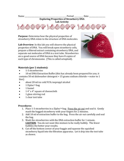 Strawberry Dna Extraction Lab Worksheet – E Street Light