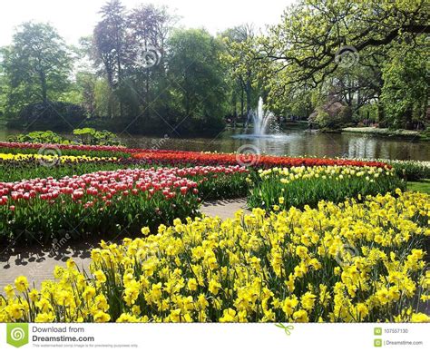 Beautiful Park with Lake and Flowers, Keukenhof, Netherlands Stock Photo - Image of leaves ...