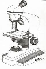 Mobile/labeled Compound Microscope Parts Sketch Coloring Page sketch template