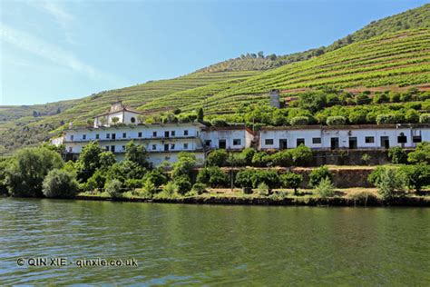 Quinta de la Rosa, Pinhão | In Pursuit of Food