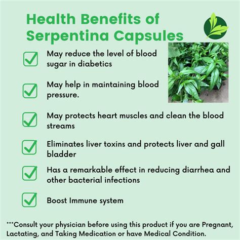 Organic Herb Bundle Promo (SERPENTINA, SAMBONG & SPIRULINA) 100 Capsul – Organic Health Pharma