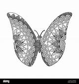 Zentangle Color Butterfly sketch template