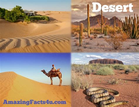 50 Amazing Facts About Desert | Amazing Facts 4U