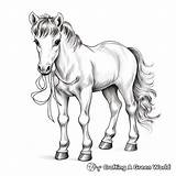 Miniature Horse Coloring Pages  Free & Printable sketch template