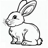 Cute Rabbit coloring Page  Download Print Or Color Online For Free sketch template