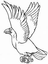 Crow For Coloring Pages sketch template