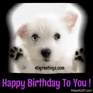 Emócia levanduľa Naučil som sa dogs singing happy birthday gif postgraduálna škola žena spätná väzba