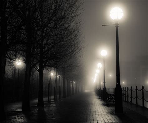 Street Lights | Misty night, Foggy street, Street at night