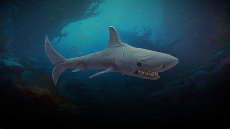 Stylized Copper Shark - 3D model by N-hance Studio (@Malice6731) [13733cc] - Sketchfab
