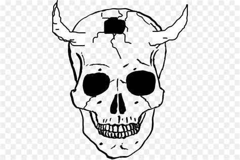Skull Human skeleton Drawing Clip art - vector skull png download - 510 ...