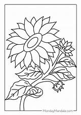 54 Sunflower Coloring Pages Free PDF Printables sketch template