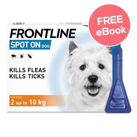 Best Flea Treatments For Dogs in the UK 2019 - Get Rid Of Fleas NOW!!