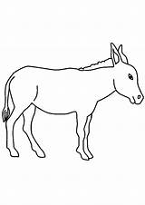 Honking Donkey Coloring Pages sketch template