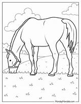 Kindergarten Farm Animal Coloring Pages sketch template