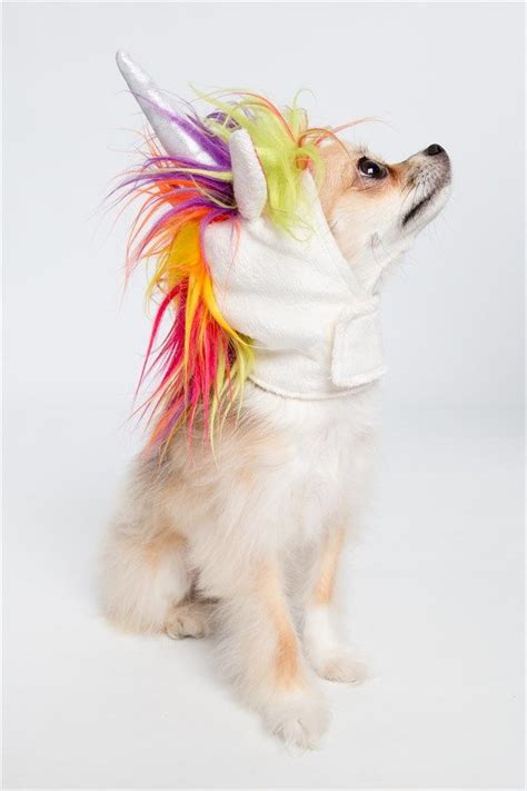 Unicorn Dog Costume | Free Shipping | Unicorn dog costume, Pet costumes ...