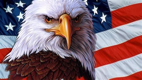 American Eagle Symbol Usa Independence Freedom 3840x216 : Wallpapers13.com