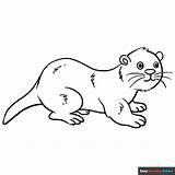Otter Coloring Pages sketch template